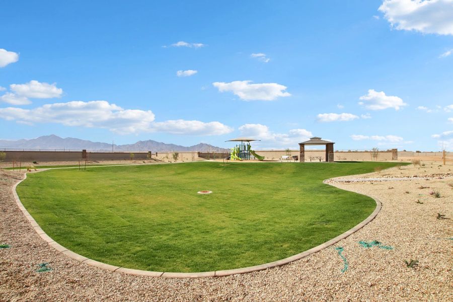 Community amenities in Sunset Farms, Tolleson (Image 13).
