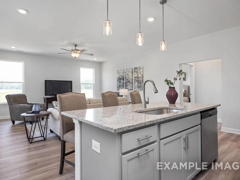 Representative furnished interior of a home built from the The Daphne C by Davidson Homes LLC in Woodland Crossing, Zebulon (Image 7).