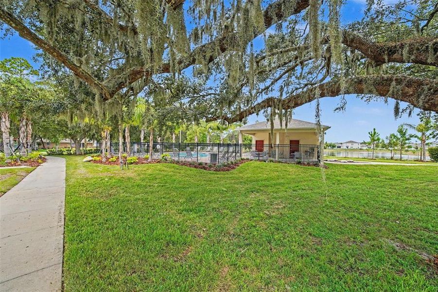 Natural landscape and outdoor views near  in Edgewater (Image 32).