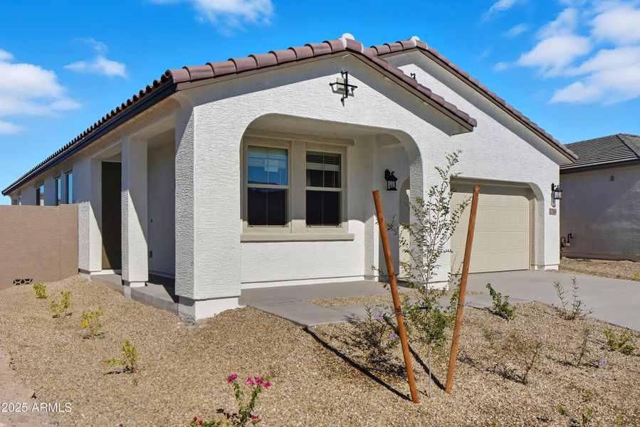 Acacia HS #76 Web-15 Acacia HS #76 Web-15