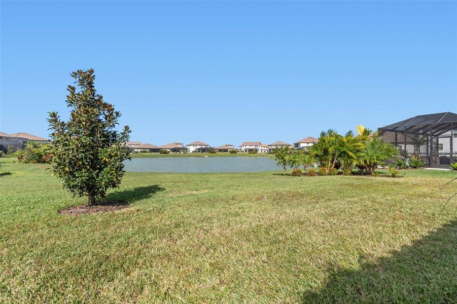 Natural landscape and outdoor views near Mirada in San Antonio (Image 49).