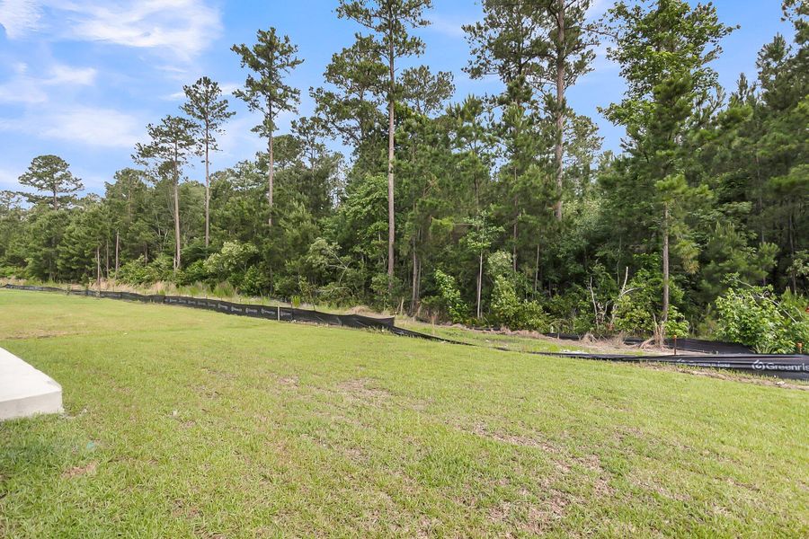 Natural landscape and outdoor views near Phillips Crossing in Ridgeville (Image 32).