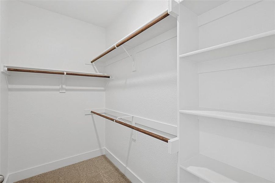 Walk-in closet featuring white shelving units, hanging rods, and carpeted flooring