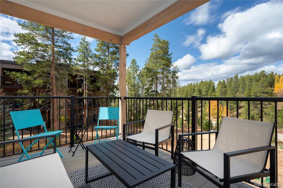 Spacious Patio - Covered, North Facing with lots of privacy