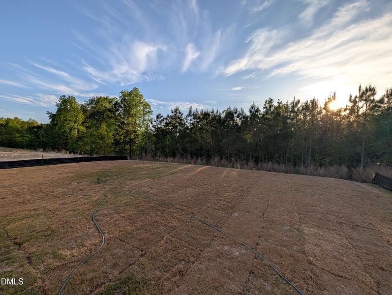 PXL_20260421_225846177.MP