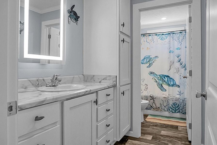 Furnished interior view inside a new home in , Bonneau (Image 48).