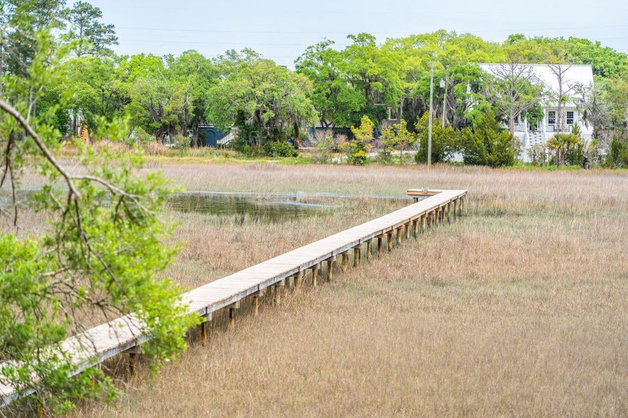 Natural landscape and outdoor views near  in Johns Island (Image 93).