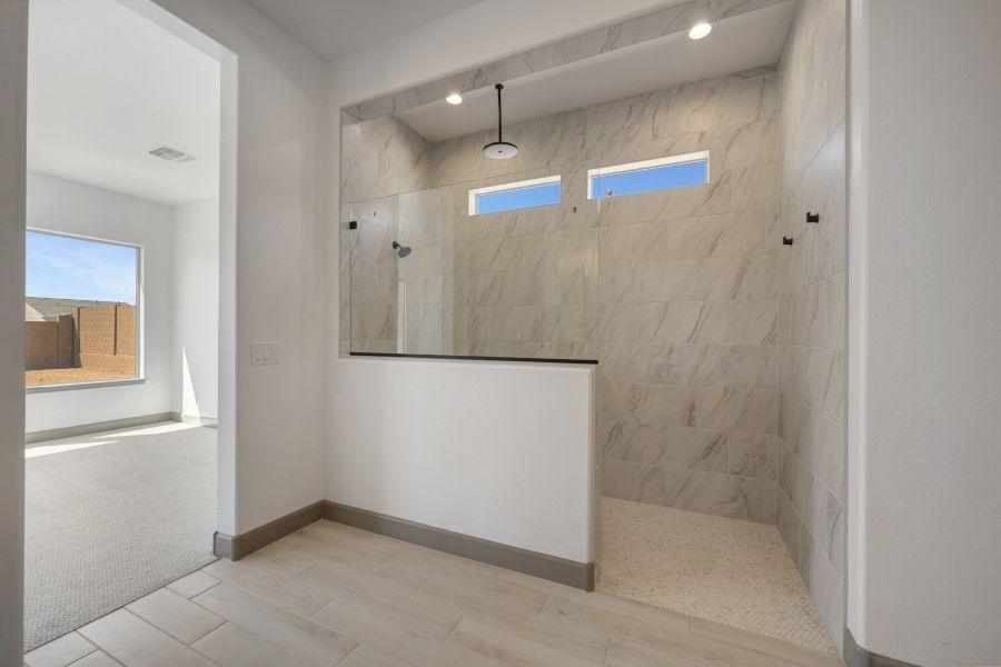 Owner's Bath