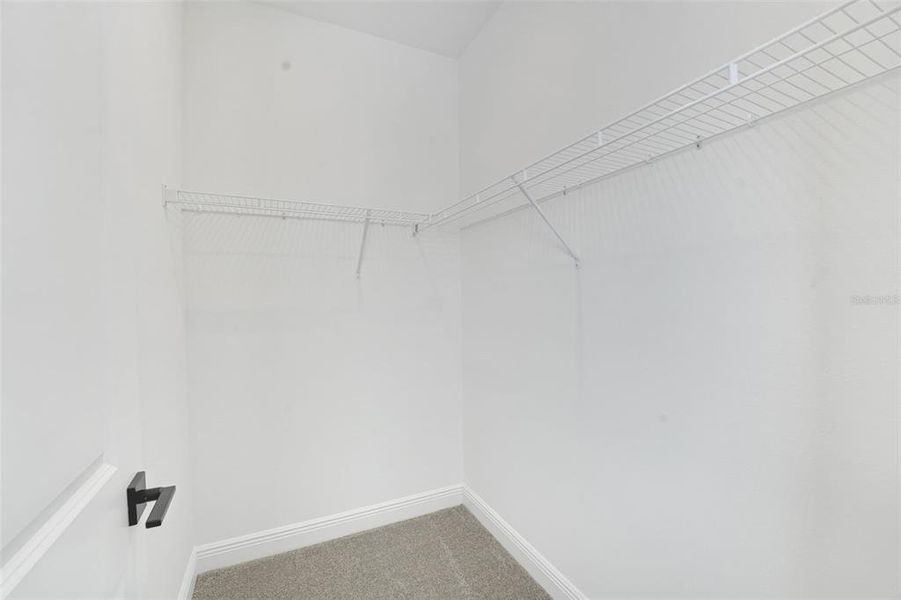 Spacious, unfurnished interior of a new home in Palms at Windermere, Windermere (Image 41).