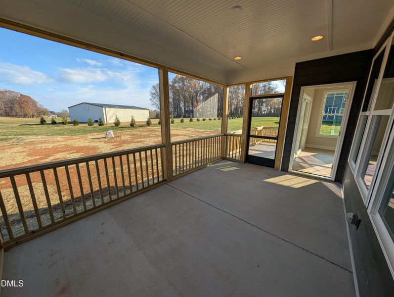 PXL_20251120_142554455 PXL_20251120_142554455