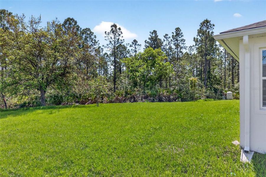 Exterior details and patio area of a home in , Orlando (Image 27).