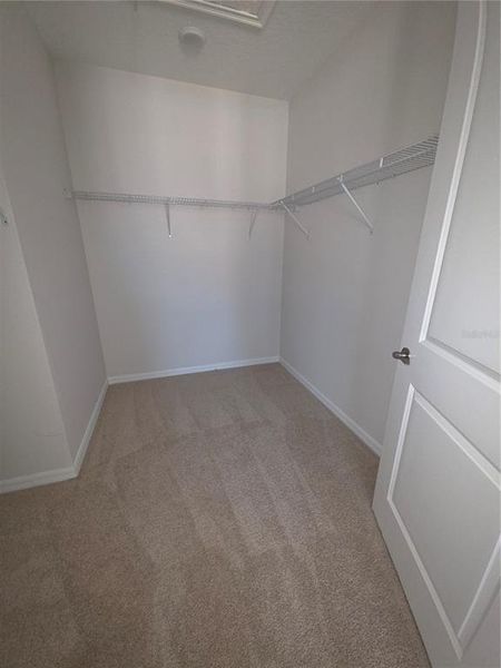 Spacious, unfurnished interior of a new home in , Riverview (Image 23).