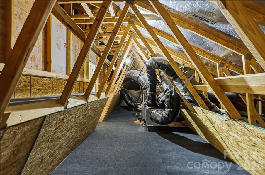 Walk in carpeted storage