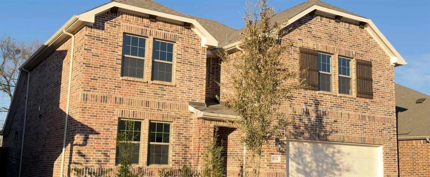 Exterior Design Construction Progress