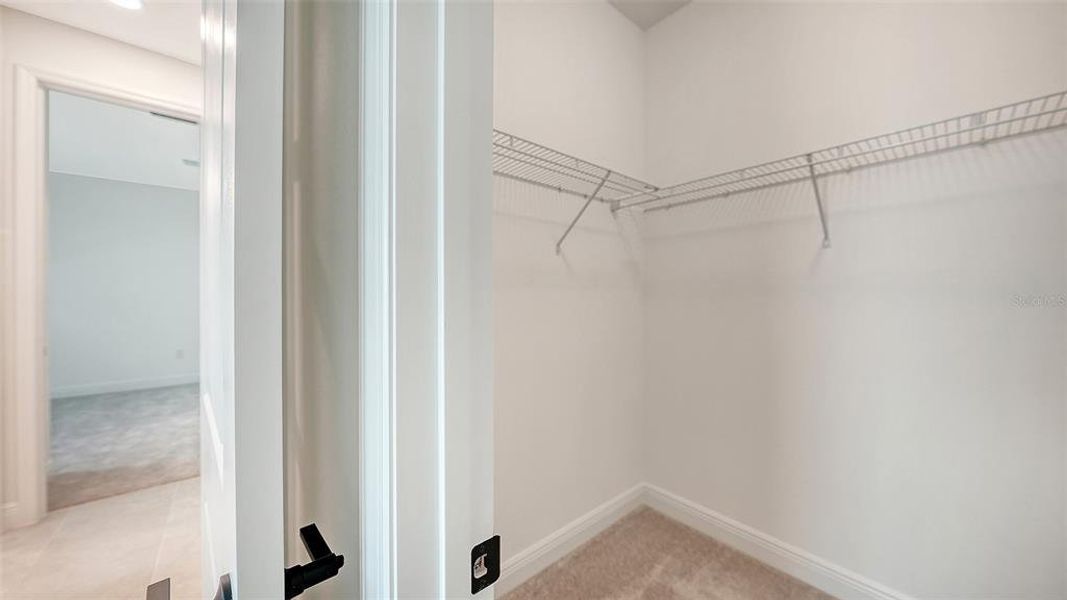 Spacious, unfurnished interior of a new home in Palmera, Venice (Image 31).