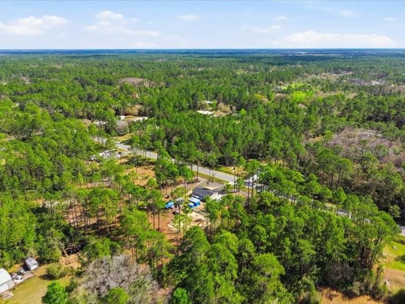Natural landscape and outdoor views near  in Bunnell (Image 37).