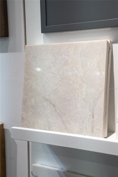 Close-up of interior finishes inside a home in Gracewater at Sarasota, Sarasota (Image 7).