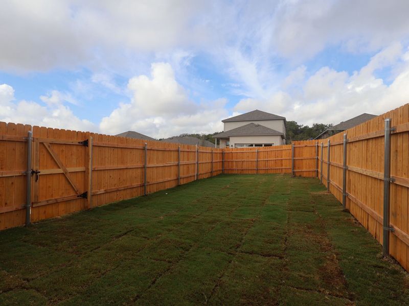 Backyard