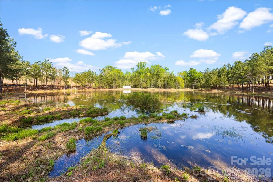 Natural landscape and outdoor views near Edgewater - The Links in Lancaster (Image 37).
