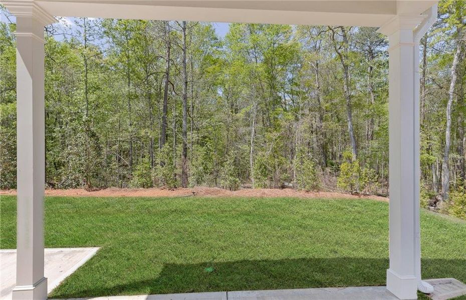 Exterior details and patio area of a home in Reunion, Flowery Branch (Image 27).
