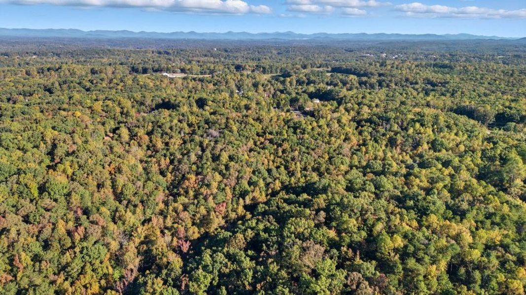 Natural landscape and outdoor views near  in Dawsonville (Image 34).