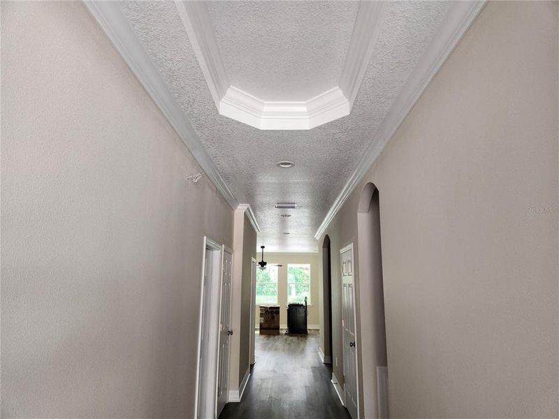 DRAMATIC FRONT ENTRY DRAMATIC FRONT ENTRY