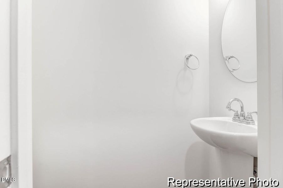 201 Surfbird -Tidalcreekphoto- (14)_REP 201 Surfbird -Tidalcreekphoto- (14)_REP