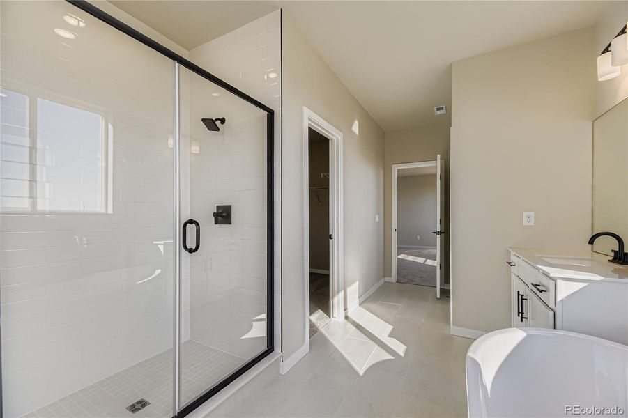 Conifer - 2nd Floor Primary Bathroom Conifer - 2nd Floor Primary Bathroom