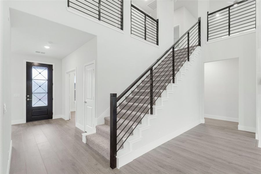 Two-story entryway with carpeted staircase, black metal railing, hardwood floors, and black front door with glass panels.