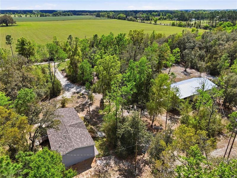 Natural landscape and outdoor views near  in Newberry (Image 31).