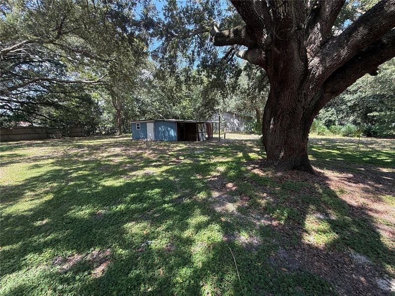 Natural landscape and outdoor views near  in Polk City (Image 23).