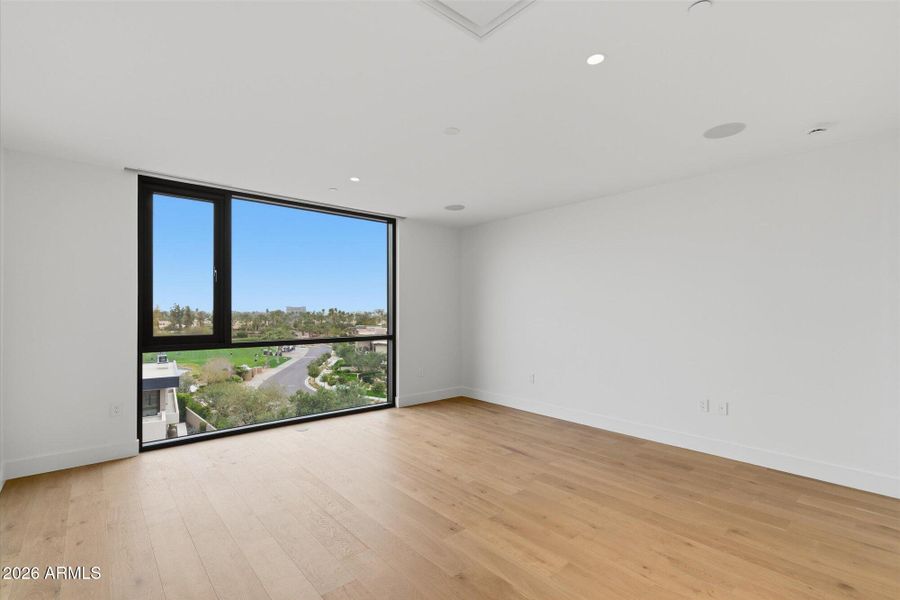 Primary views Primary views