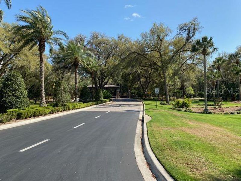 Image 19 of a home in Juliette Falls.