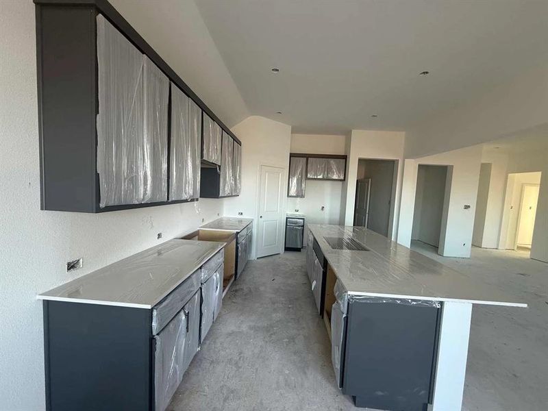 Kitchen Construction Progress