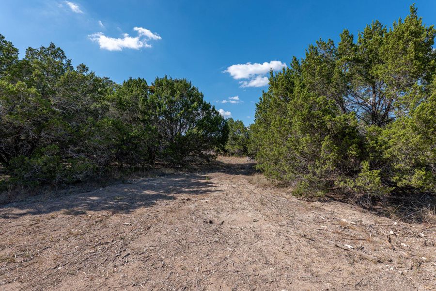 Natural landscape and outdoor views near in Austin (Image 15). Natural landscape and outdoor views near in Austin (Image 15).