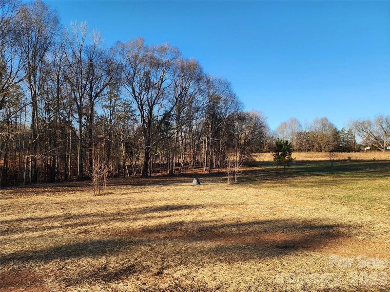Natural landscape and outdoor views near  in Gastonia (Image 32).