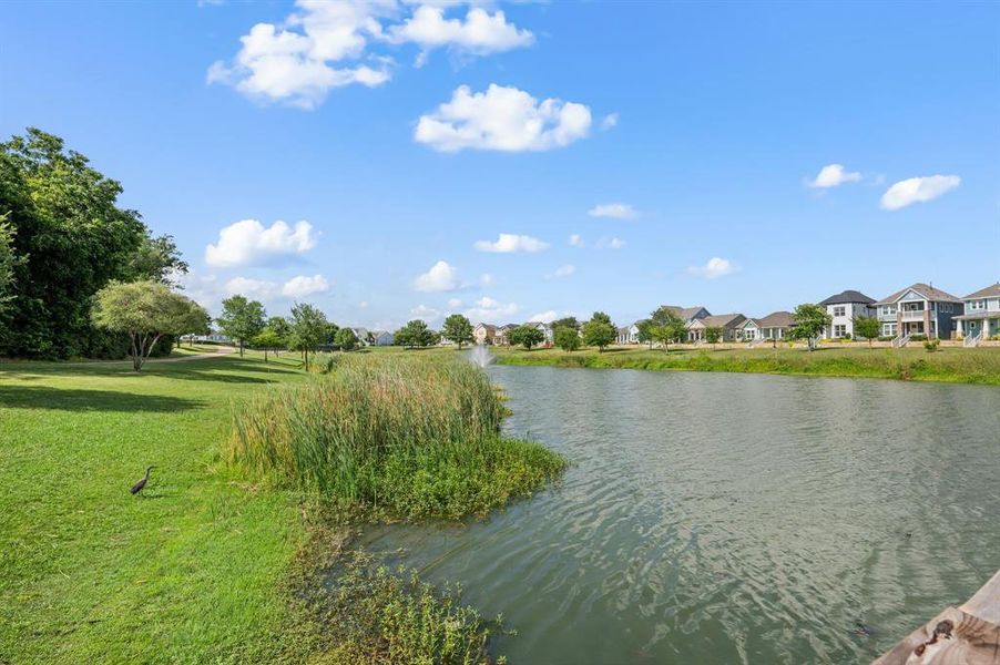 Image 36 of a home in HomeTown Garden. Image 36 of a home in HomeTown Garden.
