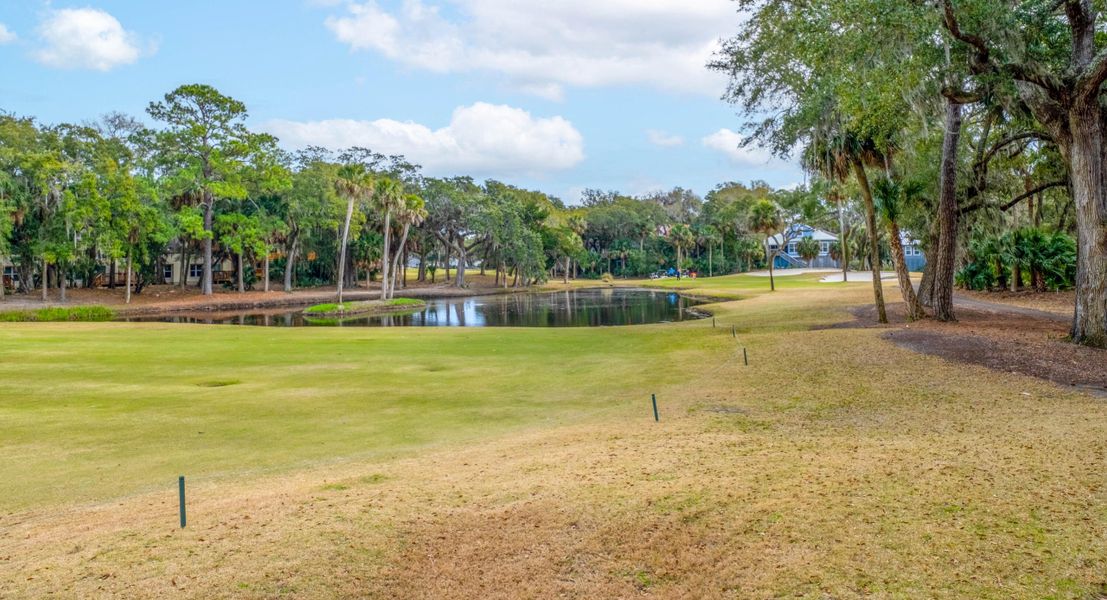 Natural landscape and outdoor views near  in Edisto Island (Image 49).