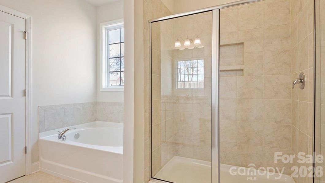 Photos are representative