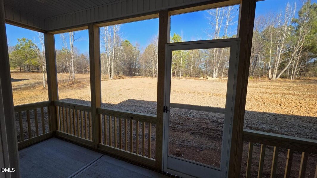 20260213_151153 (Medium) 20260213_151153 (Medium)