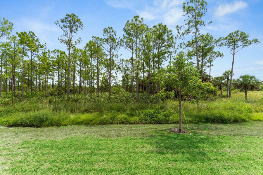 Image 44 of a home in . Image 44 of a home in .