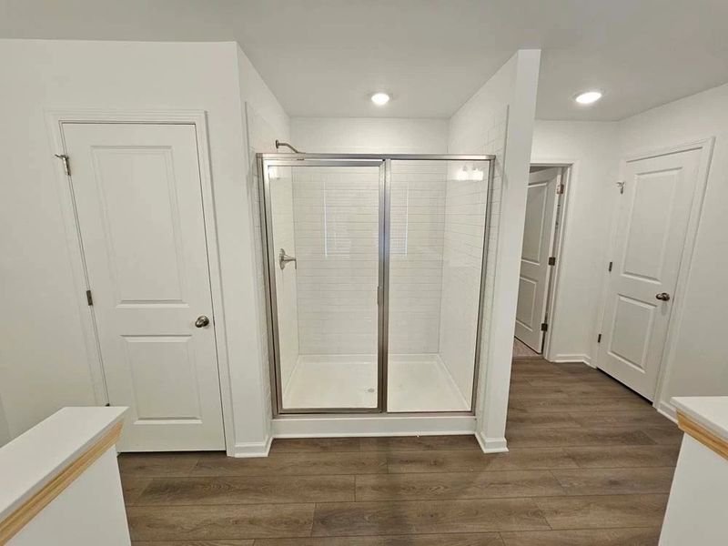 Primary Bathroom Walk-In Shower