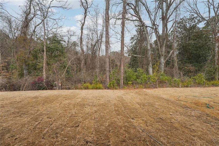 Natural landscape and outdoor views near Westmont Preserve in Powder Springs (Image 53).