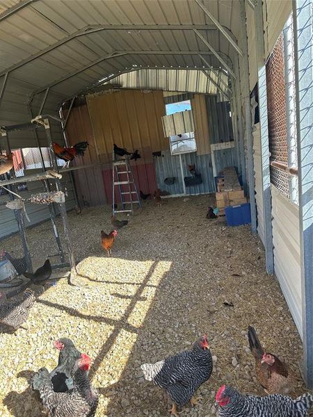 Inside of Chicken Coupe
