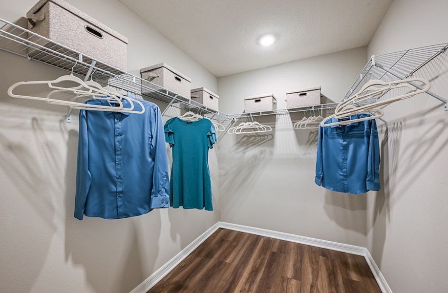 Elm Primary Closet Elm Primary Closet