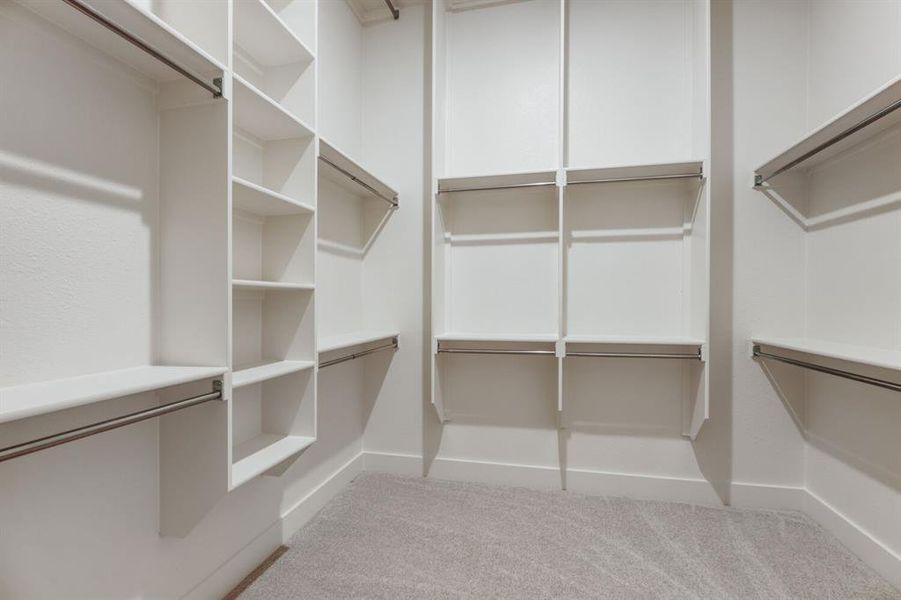 Walk-in closet featuring light gray carpet flooring, white painted walls, and extensive built-in shelving units with hanging rods