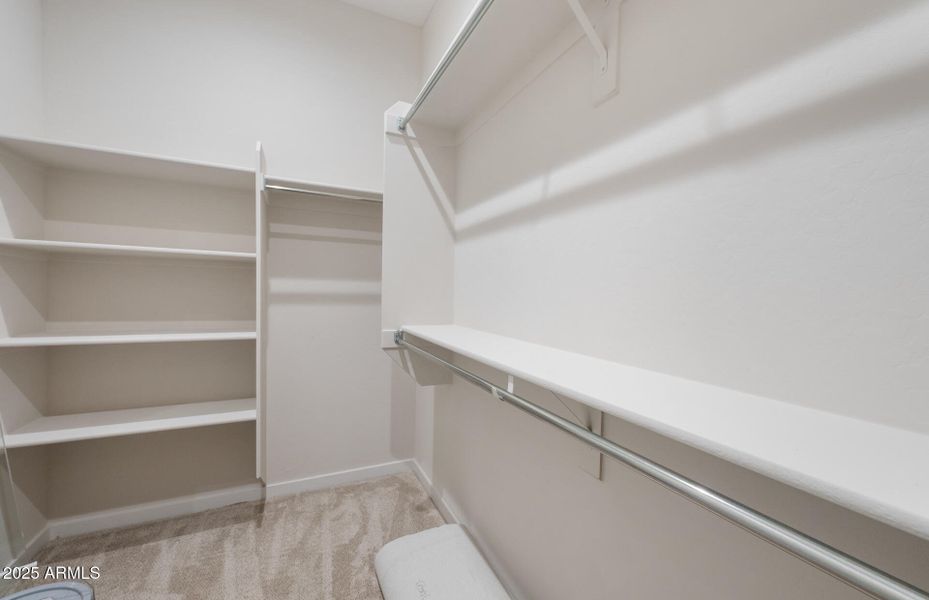 Owner's Closet Owner's Closet