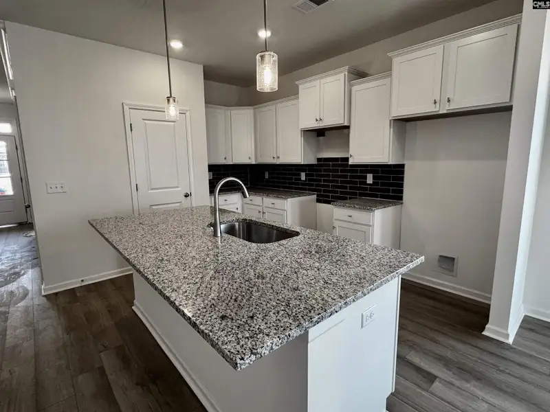 Furnished interior view inside a new home in Boykin Hills, Chapin (Image 5).