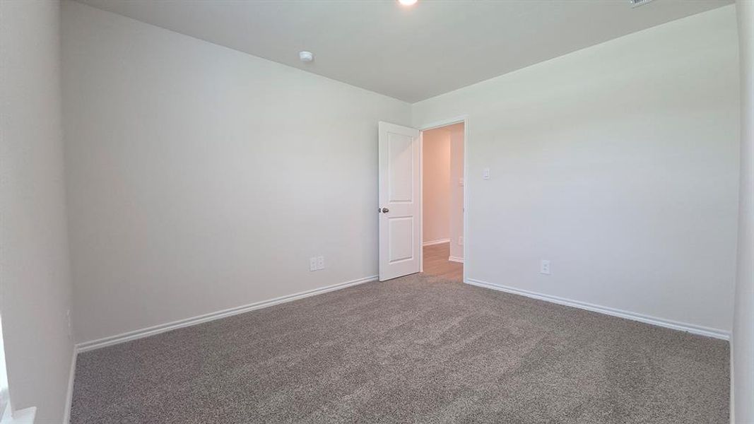 Carpeted room featuring light gray walls, white trim, and a white paneled door Carpeted room featuring light gray walls, white trim, and a white paneled door