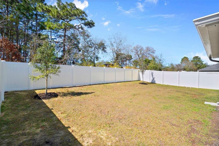 Exterior details and patio area of a home in Pine Bluff, Spring Hill (Image 27).